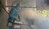 Đơn vị chức năng Lạng Sơn quyết liệt ngăn chặn dịch tả lợn châu Phi. 