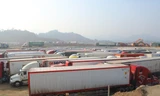 Do lượng xe ô tô chở hàng còn tồn trên 1700 phương tiện, trong khi đó năng lực thông quan hạn chế, Lạng Sơn buộc phải thông báo tạm dừng tiếp nhận phương tiện đến địa phương -Ảnh: Duy Chiến 