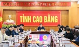 Điểm cầu tỉnh Cao bằng tham gia họp trực tuyến.