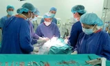 Phẫu thuật nội soi nền sọ qua mũi mở ra những hy vọng mới cho người bệnh không may bị u não và các bệnh lý sọ não. Ảnh: BV Việt - Đức