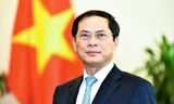Phó Thủ tướng, Bộ trưởng Ngoại giao Bùi Thanh Sơn