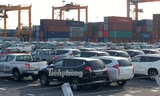 Ôtô miễn thuế 'đổ bộ' về Việt Nam, tập kết kín cảng chờ lăn bánh