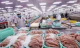 Thủy sản là 1 trong 3 mặt hàng có kim ngach xuất khẩu tỷ USD mỗi năm