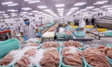 Thủy sản là 1 trong 3 mặt hàng có kim ngach xuất khẩu tỷ USD mỗi năm