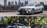 LS500 và LS500h (bản động cơ hybrid) phiên bản 2019 (ảnh trên) và ES 250 2019 (ảnh dưới)