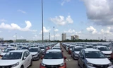 Ô tô nhập khẩu nhiều nhất qua khu vực cảng biển TP.HCM