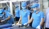 Ngày 28/10, các bộ ngành, cơ quan chức năng thảo luận về các dấu hiệu sai phạm như lừa dối người tiêu dùng, trốn thuế, giả mạo nhãn hiệu, xuất xứ hàng hóa của Asanzo