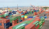 Cảng Tân Vũ, Hải Phòng ùn tắc nghiêm trọng vì hàng loạt container phế liệu tồn đọng