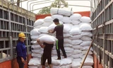 Công nhân bốc xếp gạo từ kho dự trữ quốc gia