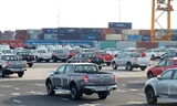 Ô tô miễn thuế về chật kín cảng Tân Vũ, Hải Phòng. Ảnh: Tuấn Nguyễn 
