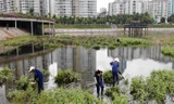 Công nhân dọn lòng hồ ô nhiễm trong công viên 300 tỷ ở Hà Nội