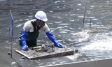 Công nhân dọn rác chuẩn bị thí điểm làm sạch sông Tô Lịch lần 2