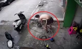 Clip: Khoảnh khắc người đàn ông tự cứu mình khi điện giật gây sốt