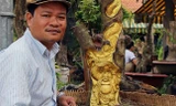 Độc đáo tượng 'ẩn mình' trên cây phục vụ Tết