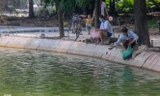 Phóng sinh 'đủ món' ra hồ Hoàn Kiếm ngày rằm tháng 7