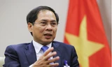 Bộ trưởng Ngoại giao Bùi Thanh Sơn. (Ảnh: VOV)