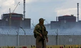 Một lính mặc quân sự in hình quốc kỳ Nga đứng gác trước nhà máy điện hạt nhân Zaporizhzhia ngày 4/8. (Ảnh: Reuters)