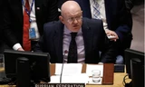 Đại sứ Nga tại Liên Hợp quốc Vassily Nebenzia. (Ảnh: Tass)
