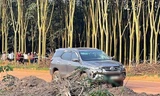 Bình Phước: Án mạng khó tin giữa rẫy cao su