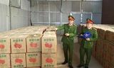 Hà Nội: Bắt giữ gần 7 tấn pháo hoa nổ nguỵ trang trong thùng hoa quả 