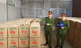 Hà Nội: Bắt giữ gần 7 tấn pháo hoa nổ nguỵ trang trong thùng hoa quả 
