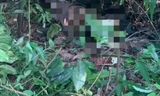 Khu vực người dân phát hiện thi thể nam giới đang phân hủy tại đồi Cao (huyện Thuỷ Nguyên, TP Hải Phòng).