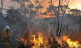 Úc: Cháy rừng lan rộng, hàng trăm ngôi nhà bị thiêu rụi