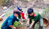 Sáng tạo để thu hút thanh niên tham gia tình nguyện