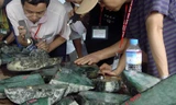 Ngọc bích Myanmar âm thầm chảy sang Trung Quốc