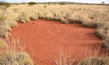 Hình tròn bí ẩn nghi dấu vết người ngoài hành tinh ở Australia