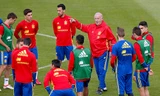 Đội quân của Del Bosque được cho là mạnh và toàn diện nhất tại Euro 2016. Ảnh: Reuters.