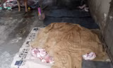 Hơn 3 tạ thịt heo bị buộc tiêu hủy.