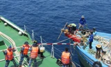 Cứu thành công tàu cá cùng 10 ngư dân gặp nạn trên biển