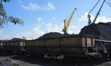 Tuyển than Cửa Ông tăng cường điều hành kéo mỏ phù hợp