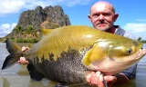 Người đàn ông đang nắm chặt con cá Tambaqui cỡ lớn. Đây là loại cùng họ với cá piranha ăn thịt. Ảnh: Jurassic Mountain Resort & Fishing Park.