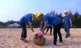 Hơn 1.500 ĐVTN Huế chung tay làm sạch môi trường biển