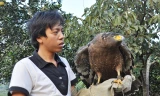 Anh Vinh và chú chim “chúa tể bầu trời”.