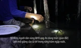 Dùng giun đất giăng câu cá trê trong rừng tràm ở Đồng Tháp Mười