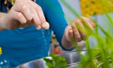 3 cách đơn giản thanh lọc muối ra khỏi cơ thể