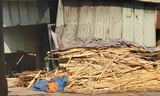 Nguyên vật liệu được tập kết về để sản xuất gỗ ép