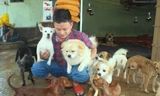 Anh Dương và đàn chó được anh cứu về