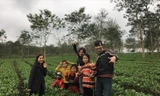 Đôi bạn trẻ khám phá đồi chè Nông trường 20/4 tại xã Hương Trà, huyện Hương Khê, tỉnh Hà Tĩnh cùng các em nhỏ Ảnh: N.T 