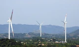 Hơn 5.200 tỉ đồng đầu tư vào điện gió ở Quảng Trị