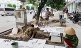 Hà Nội sẽ lát đá vỉa hè hơn trăm tuyến phố