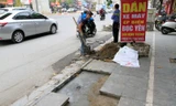 Vỉa hè phố Trần Phú (Hà Đông) sau một thời gian sử dụng đã phải bóc lên làm lại. Ảnh: Trường Phong