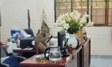 Khỉ hoang quậy phá, trêu đùa cán bộ và người dân ở trung tâm Hà Nội
