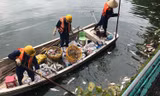 Bí thư, Chủ tịch Hà Nội chỉ đạo khắc phục ngay hiện tượng cá chết ở hồ Tây