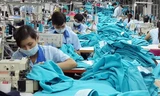 Hà Nội: Dệt may thiếu đơn hàng, chỉ gần 70% doanh nghiệp hoạt động sau Tết 