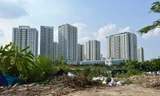 Hà Nội thanh, kiểm tra các khu đô thị 'chỉ xây nhà, quên hạ tầng xã hội'