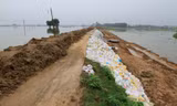 Nước sông Bùi dâng cao đe dọa an toàn đê tả Bùi. Ảnh; Trường Phong